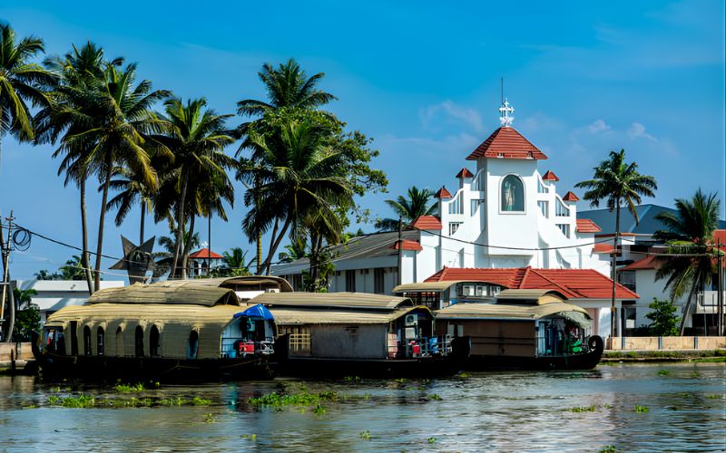 Tea Trails & Backwater Tales